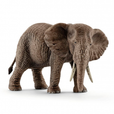 Afrikansk elefant - Hun
