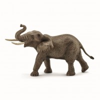 Afrikansk elefant - Male
