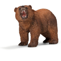 Grizzly bjørn