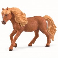 Islandsk pony hingst