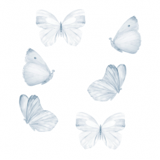Wallstories - Blå sommerfugle - sæt af 6