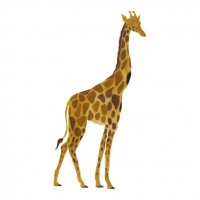Wallstories - Giraf