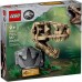 LEGO Jurassic World 76964 Dinosaurfossiler: T. rex kranium