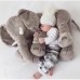 Elefant